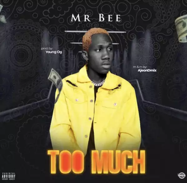 Mr Bee - Too Much